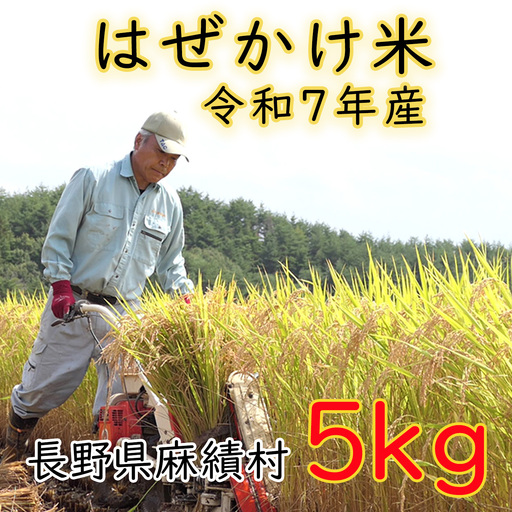 信州麻績産 はぜかけ米 数量限定 期間限定 5kg 自然乾燥 コシヒカリ 5kg 長野県 信州 麻績村 麻績