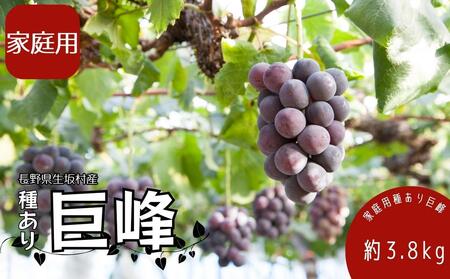 2025年発送 先行予約 家庭用 種あり巨峰3.8kg (9〜13房) 果物 ぶどう フルーツ セット 食べ比べ デザート 食後 産地直送 果物詰め合わせ