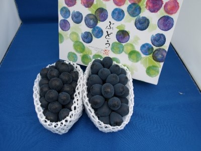 y2026Ns\z_ Ԃǂ iKmp[v2~3[ 1kg Ԃǂ