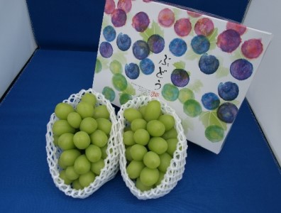 y2026Ns\z_ VC}XJbg2~3[ 1kg VC}XJbg