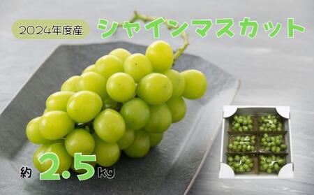 2024年産 訳あり シャインマスカット バラ房・バラ粒パック約2.5kg