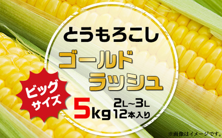 スイートコーン「ゴールドラッシュ」5kg（2L～3L 12本入り）2401