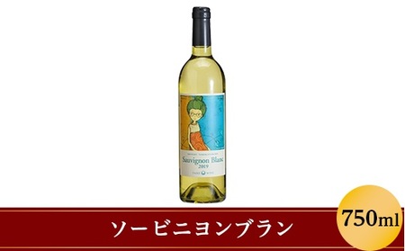 ソーヴィニヨン・ブラン 750ml 大池ワイン 1241