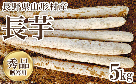 長野県山形村産 長芋 秀 5kg 3213