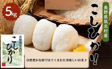 筑北村産こしひかり（5kg） 