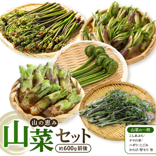 先行予約【2027年4月中旬頃～順次発送予定】ちっくほっくふぁ～む　山の恵み　山菜セット