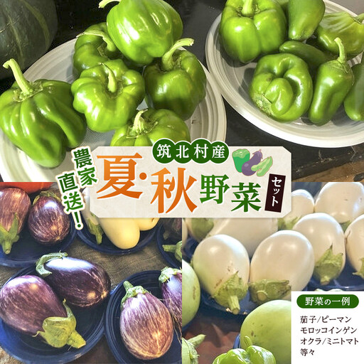 先行予約【2026年9月上旬頃～順次発送予定】ちっくほっくふぁ～む　夏・秋野菜セット