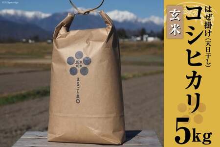  ߘa7N ͔|Ԓ_Ew엿sgp ͂| V RVqJ  5kg [܂邲_ 쌧 rc 48110697]