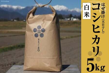 米 令和7年 栽培期間中農薬・化学肥料不使用 はぜ掛け 天日干し コシヒカリ 白米 5kg [まるごし農園 長野県 池田町 48110700]