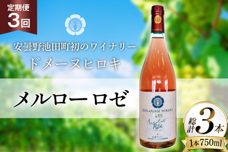 定期便 ロゼワイン メルロー ロゼ 750ml 3回 計 3本 [ヴィニョブル安曇野 長野県 池田町 48110760]
