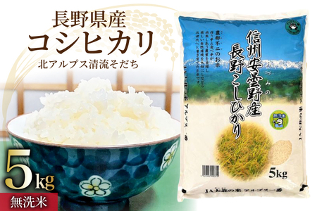 �� �ߘa7�N ���쌧�Y �R�V�q�J�� 5kg�i�����āj [��k�_�Ƌ����g�� ���쌧 �r�c�� 48110834]