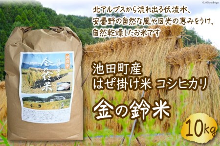  RVqJ ̗ 10kg [rcό 쌧 rc 48110005]