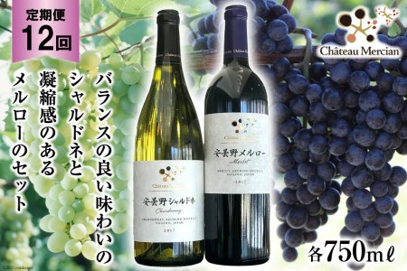 定期便 ワイン 赤 白 安曇野メルロー & 安曇野シャルドネ 各 750ml 12回 計 24本 [シャトー・メルシャン 勝沼ワイナリー 長野県 池田町 48110309]