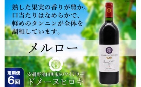 【6回 定期便 】【熟した果実の香り】 赤 ワイン メルロー 750ml×1本 [ヴィニョブル安曇野 DOMAINE HIROKI 長野県 池田町 48110170] 赤ワイン お酒 酒