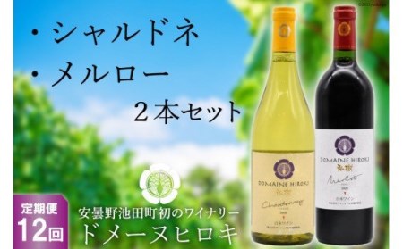 [12回定期便] 自社農園100% ワイン 白 赤 シャルドネとメルローのセット 750ml×2本 12回 総計 18000ml [ヴィニョブル安曇野(ドメーヌ・ヒロキ) 長野県 池田町 48110825] 白ワイン 赤ワイン お酒 酒