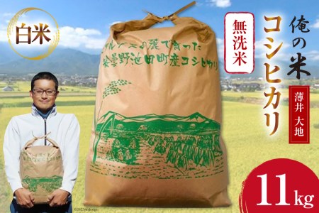 y̕āz ߘa7N RVqJ  11kg [ n 쌧 rc 48110782]