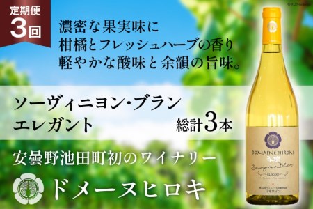 ワイン ソーヴィニヨン ブラン エレガント 750ml 1本 3回 定期便 総計3本 [ヴィニョブル安曇野 長野県 池田町 48110357]