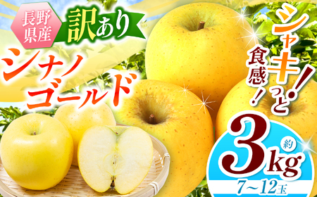 [2025年先行予約]浅野農園 訳あり シナノゴールド 3kg | リンゴ りんご 林檎 果物 くだもの フルーツ 果実 果汁 シナノゴールド 訳あり 長野県 松川村 信州