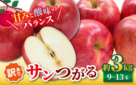 [2025年先行予約]訳あり サンつがる 3kg | リンゴ りんご 林檎 果物 くだもの フルーツ 果実 果汁 サンつがる さんつがる 長野県 松川村 信州