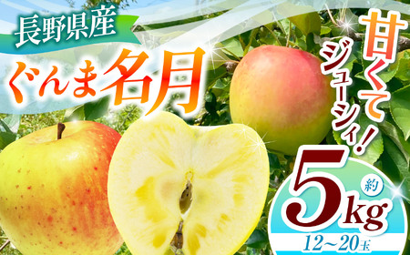 【2025年先行予約】ぐんま名月 5kg ｜ リンゴ りんご 林檎 果物 くだもの フルーツ 果実 果汁 ぐんま名月 長野県 松川村 信州