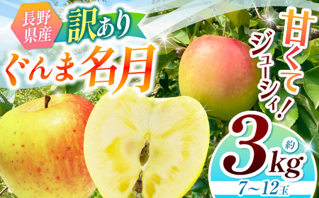 [2025年先行予約]訳あり ぐんま名月 3kg | リンゴ りんご 林檎 果物 くだもの フルーツ 果実 果汁 訳あり ぐんま名月 長野県 松川村 信州 北アルプス