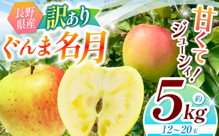 【2025年先行予約】訳あり ぐんま名月 5kg |  リンゴ りんご 林檎 果物 くだもの フルーツ 果実 果汁 訳あり ぐんま名月 長野県 松川村 信州 北アルプス