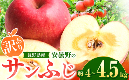 [2025年先行予約]訳あり サンふじ 約4〜4.5kg | 東印平林農園 リンゴ りんご 林檎 果物 くだもの フルーツ 果実 果汁 サンフジ サンふじ エコファーマー 長野県 松川村 信州