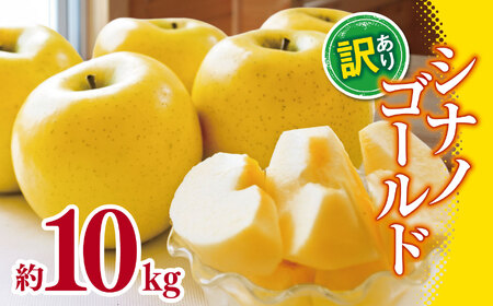 [2025年先行予約]訳あり シナノゴールド 約10kg | 外川果樹園 リンゴ りんご 林檎 果物 フルーツ 果実 果汁 シナノゴールド 訳あり わけあり 長野県 松川村 信州