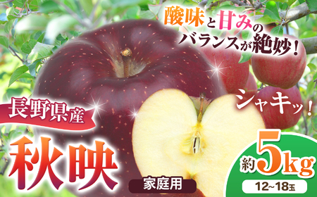 *[2025年先行予約]家庭用 秋映 約5kg | 北條農園 リンゴ りんご 林檎 果物 フルーツ 果実 果汁 秋映 家庭用 長野県 松川村 信州