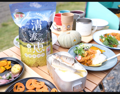 [令和7年度産先行予約]特別栽培米 コシヒカリ 900g(精米) | 米 お米 コメ こめ 精米 白米 はくまい コシヒカリ こしひかり 特別栽培米 優秀賞 最高金賞 長野県 松川村 信州