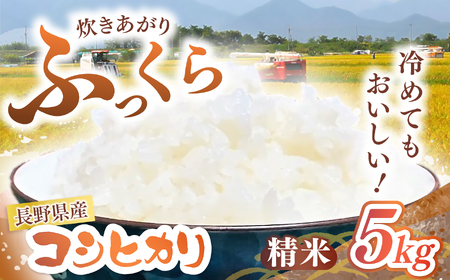 [令和7年度産]長野県産 コシヒカリ 5kg(精米) | 米 こめ コメ お米 白米 はくまい 精米 無洗米 コシヒカリ 長野県 松川村 信州