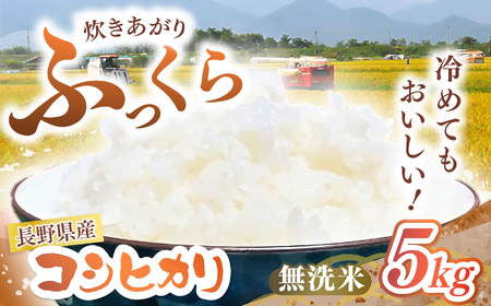 [令和7年度産]長野県産 コシヒカリ 5kg(無洗米) | 米 こめ コメ お米 白米 はくまい 精米 無洗米 コシヒカリ 長野県 松川村 信州
