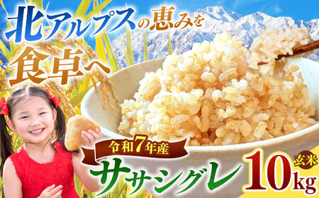 ササシグレ 玄米 約10kg | ニチカ農園