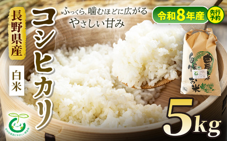 [令和8年産先行予約]コシヒカリ 特別栽培米 白米 5kg | そば処こうや