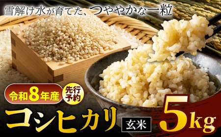 [令和8年産先行予約]『松川村認定農業者』コシヒカリ 玄米 5kg | 叶屋
