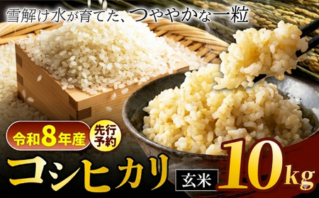 【令和8年産先行予約】『松川村認定農業者』コシヒカリ 玄米 10kg  | 叶屋
