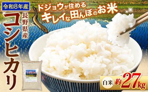 【令和8年産先行予約】『どじょうのいる田んぼのお米』コシヒカリ 白米 約27kg | 馬場農園