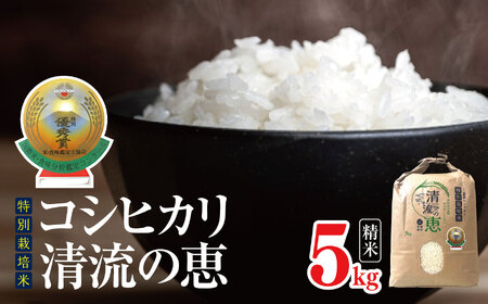 特別栽培米コシヒカリ 清流の恵 5kg(精米)