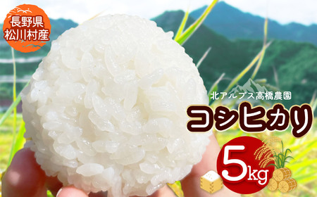 *[令和7年度産先行予約]北アルプス高橋農園のコシヒカリ 5kg | 米 お米 こめ コシヒカリ こしひかり 白米 精米 長野県 松川村 栽培期間中無農薬 地域おこし 北アルプス