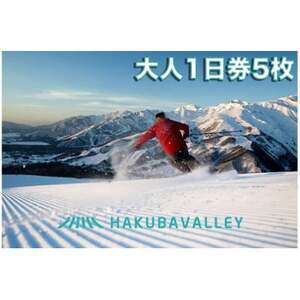 HAKUBA VALLEY 10 スキー場共通リフト券【大人1日券5枚】【1560077】