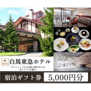 白馬 東急ホテル 宿泊補助券 5,000円分