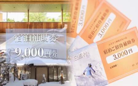 長野県白馬村 宿泊補助券9,000円分(3,000円分×3枚)宿泊補助券 チケット 補助券 ギフト券 贈答 プレゼント 民宿 旅館 ペンション ホテル コンドミニアム 宿泊施設 便利 おすすめ 人気 送料無料【K0130235】