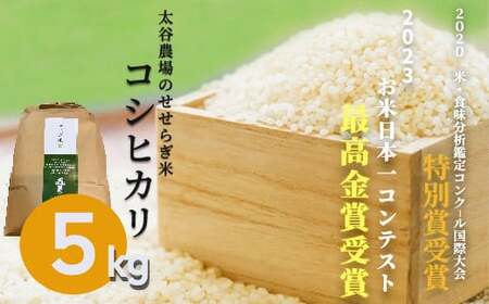 [令和6年産]数量限定!太谷農場のせせらぎ米 コシヒカリ5kg 白米 /長野県白馬村 精米後発送 こしひかり 白米 コメ こめ ご飯 ごはん 2024年産[B0100225]