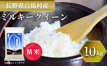 [令和7年産] 新米 先行予約 ミルキークイーン 10kg /長野県白馬村 2025年産 米 白米 精米後発送 お米 ご飯 ごはん 送料無料[B0030140]