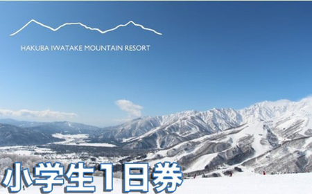 nxXm[tB[htgw1 1/쌧n HAKUBA IWATAKE XL[ `Pbg pE_[Xm[ Qf kAvX nxXm[tB[h  lC EB^