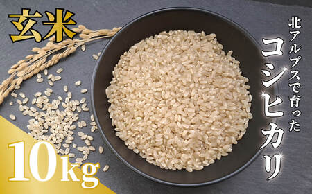 sߘa7NYEVāt_Ƃ̃RVqJ 10kgyāz /쌧nY 2025NY  R   Č㔭 2014Nʍō܎ RN[   ͂ yB0080