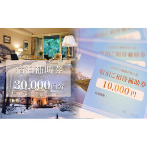 白馬村　宿泊補助券30,000円分(10,000円分×3枚)【1461147】