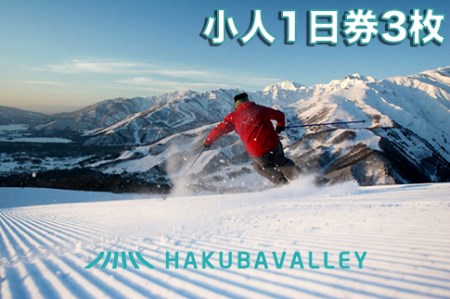 HAKUBA VALLEY 10 スキー場共通リフト券＜小人1日券3枚＞/長野県白馬村　北アルプス　白馬バレー　全10スキー場　ゲレンデ　スキー・スノーボード　先行予約　旅行　スノーリゾート　小学生　こども　子ども【L0160256】