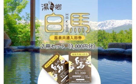 湯の郷 白馬 温泉共通入浴券2冊セット 3,000円分(100円分×15枚綴り×2冊セット)/長野県白馬村 温泉巡り 湯めぐり 源泉 [L0230293]