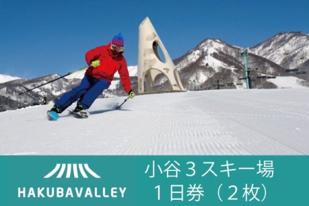 Hakuba Valley Otari 3スキー場共通リフト1日券 大人 2枚 長野県小谷村 ふるさと納税サイト ふるなび